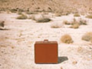 Lab-on-a-Chip GC for Environmental Research