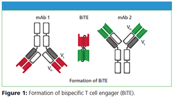 figure 11506073884678.png