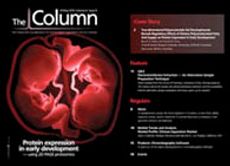 The Column-05-10-2010