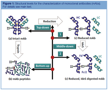 figure 11528818335195.png