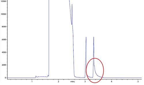 The LCGC Blog: GC Diagnostic Skills I | Peak Tailing