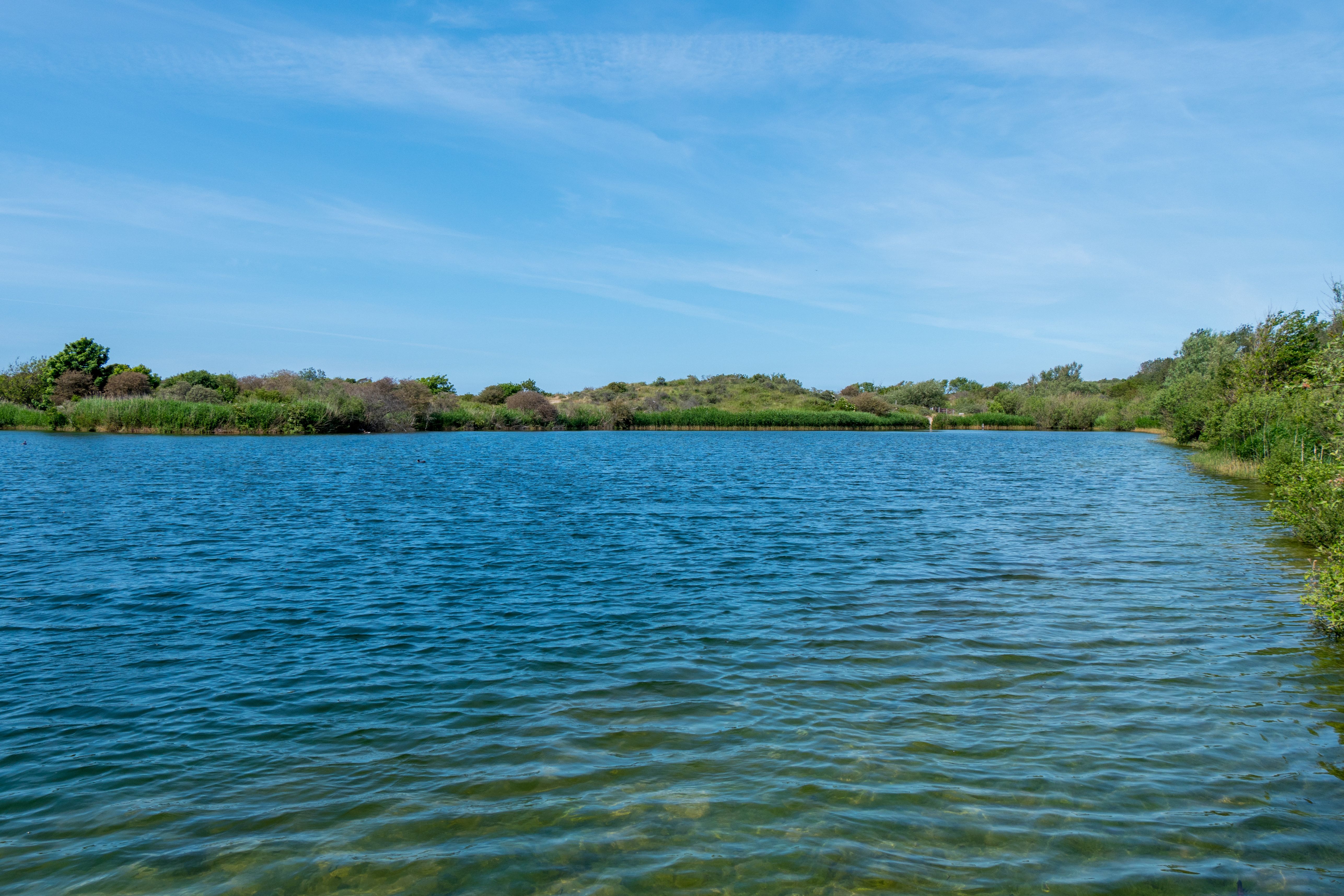 Understanding PFAS in Delaware Water - Vimarsana News