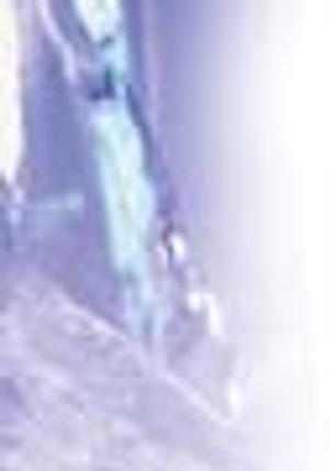 The Misunderstood Laboratory Solvent: Reagent Water for HPLC