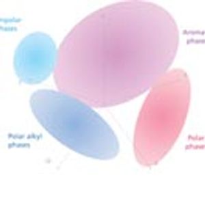 The New Face of SFC: Why Analysts Should Take Another Look