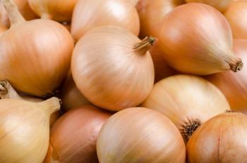 Pure organic raw onion | Image Credit: © Veronika Idiyat - stock.adobe.com