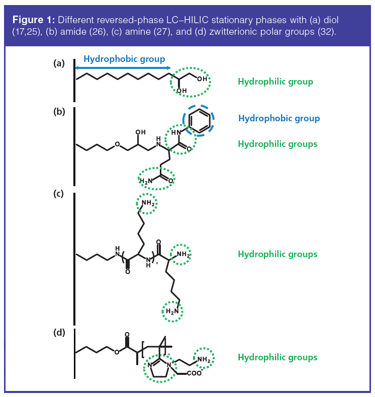 Mixed Mode Chromatography A Review