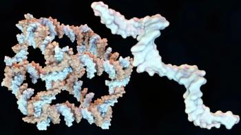 3d rendering of the construction from DNA of a covalently closed cube-like molecular complex | Image Credit: © Love Employee - stock.adobe.com