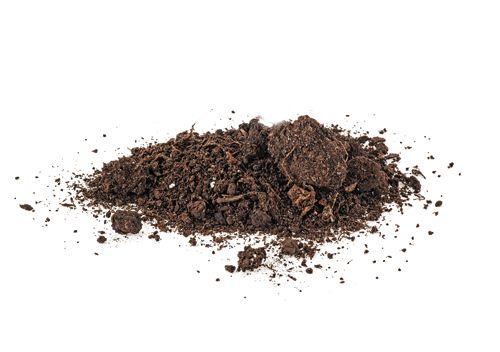 shutterstock_1071587357.jpg