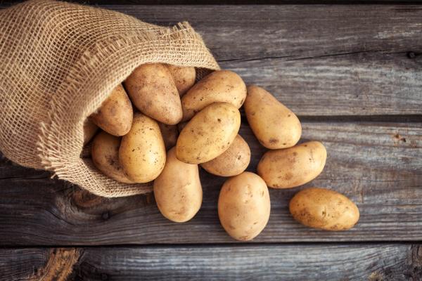Chromatography Tracks Glycoalkaloids in Fried Potatoes