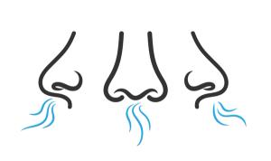 The Importance of Analyzing Sulphur Compounds in Food