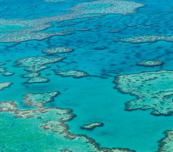 Great Barrier Reef.jpg