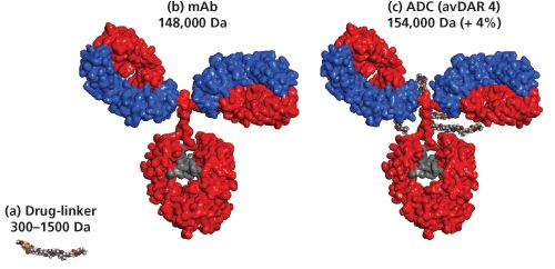 LC/MS analysis of Polysorbate 20 in Antibody Drug Complex Preparation (ODP2  HP-2B）