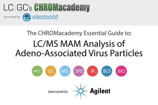 LC–MS MAM Analysis of Adeno-Associated Virus Particles
