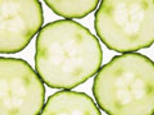 Determination of Phytohormones in Plant Extracts Using In-matrix Ethyl Chloroformate Derivatization and DLLME–GC–MS