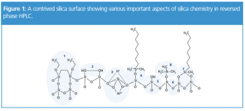 Figure 1 L1592233279073.png