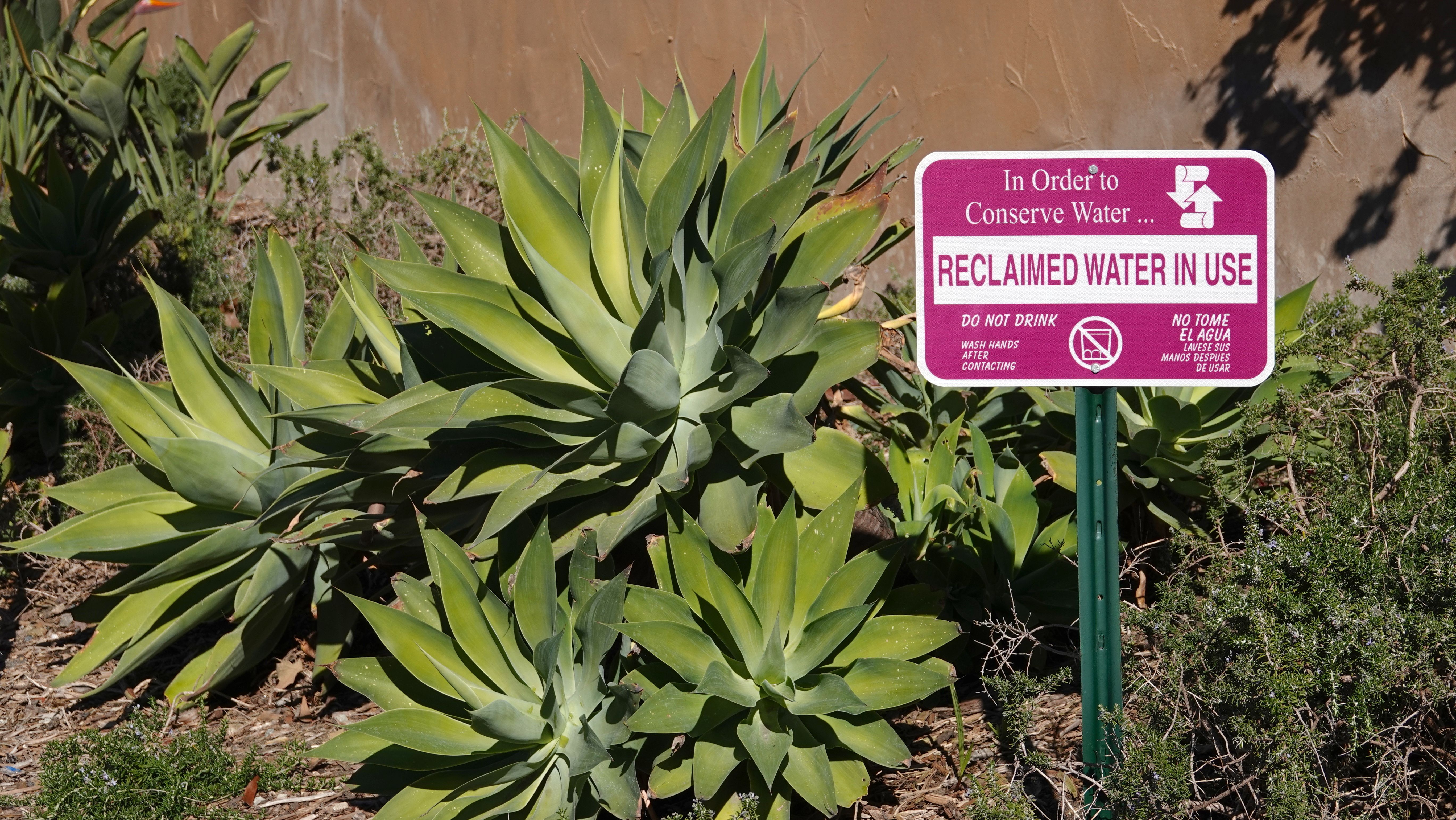 Sign advising of reclaimed irrigation water in use | Image Credit: © Simone - stock.adobe.com