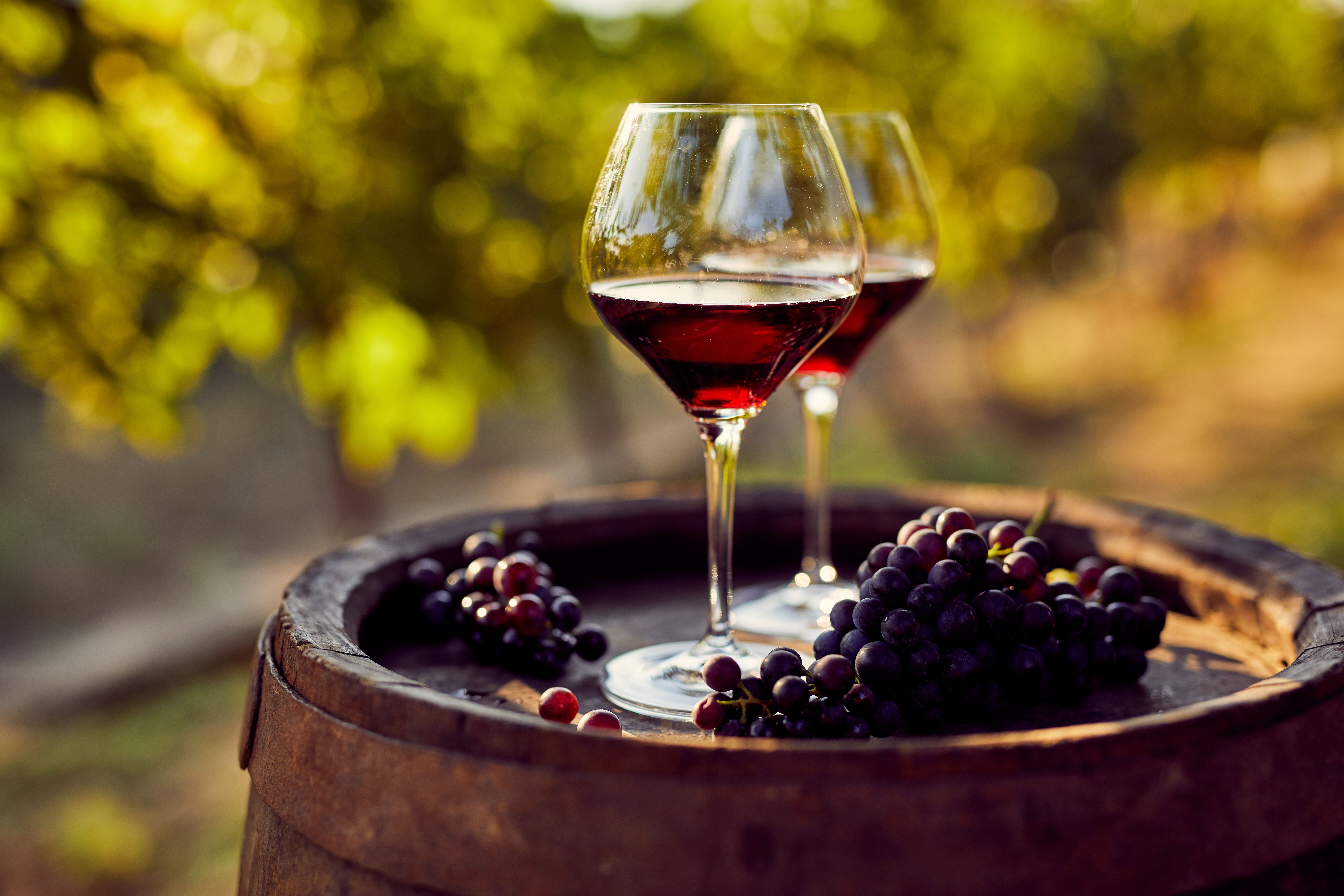 Two glasses of red wine in the vineyard | Image Credit: © Rostislav Sedlacek - stock.adobe.com