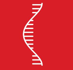 Hydrophilic-Phase Extraction: A New Avenue of Solid-Phase Extraction for Oligonucleotide Bioanalysis