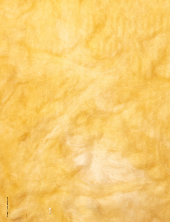 Image Credit: © schankz - stock.adobe.com