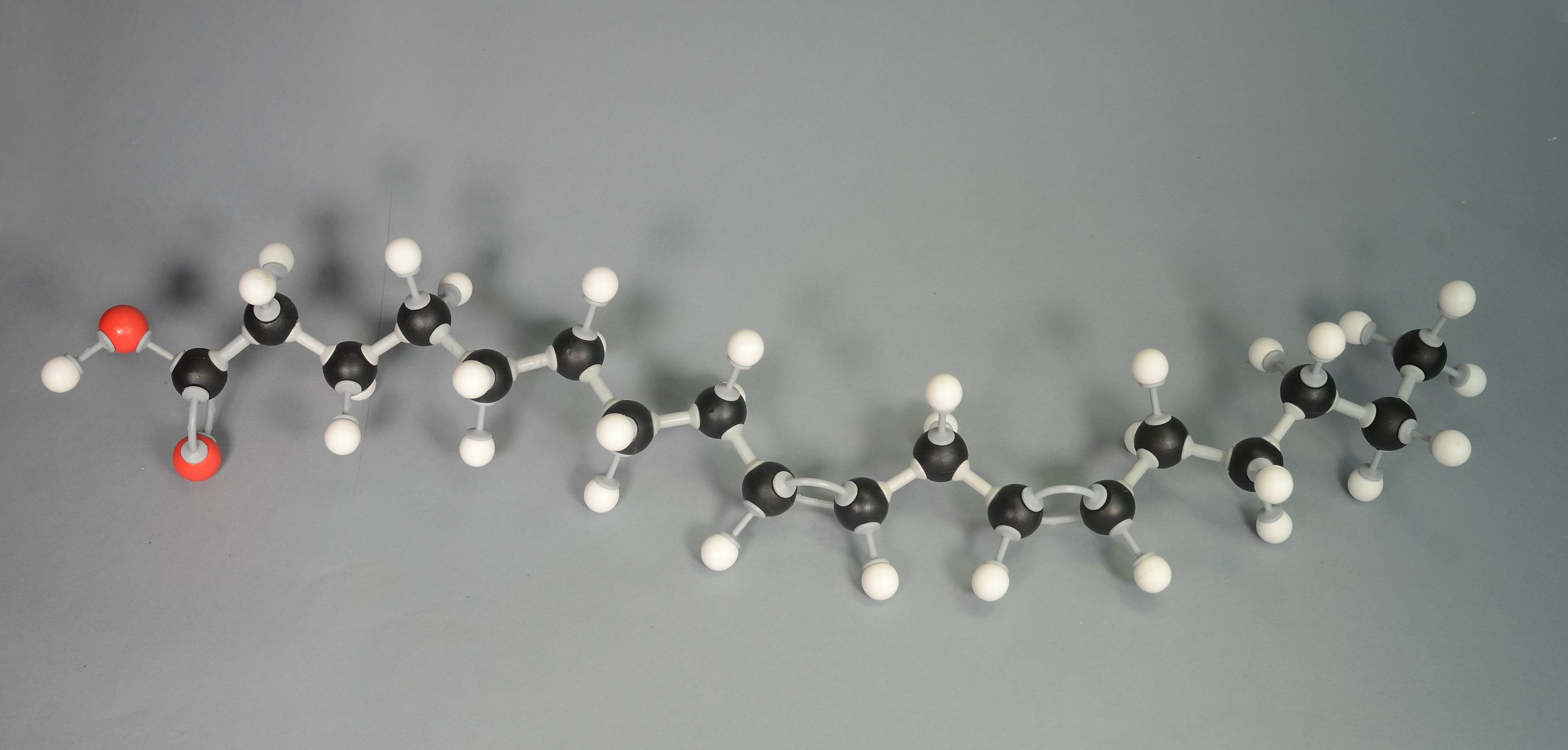 Molecule model og Omega - 6 fatty acid. White is Hydrogen, black is Carbon, red is Oxygen, White is Hydrogen, black is Carbon, and red is Oxygen. | Image Credit: © Kim - stock.adobe.com