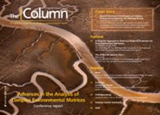 The Column-06-21-2013