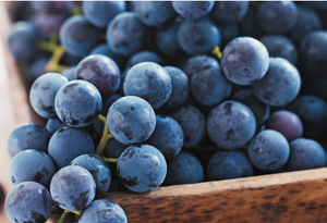 A Look at Improved Aroma Profiling of Foods by High-Capacity Sorptive Extraction