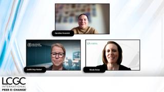 Meet the Expert Panelists