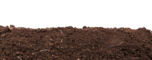 Handful of dark brown soil isolated on white background | Image Credit: © toomler - stock.adobe.com