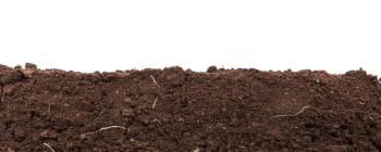 Handful of dark brown soil isolated on white background | Image Credit: © toomler - stock.adobe.com