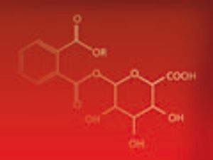 Application of Pyrolysis–Gas Chromatography–Mass Spectrometry for the Identification of Polymeric Materials