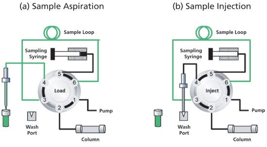 HPLC Autosamplers: Perspectives, Principles, and Practices