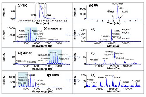 Aggregate and Fragment Analysis in Therapeutic Monoclonal Antibodies ...