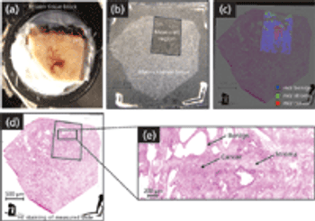 Huck_Fig 2-[41825010]-{584590}_t-746305-1408610899253.gif