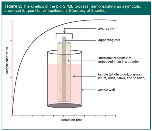 Know Your Sample: Size Matters