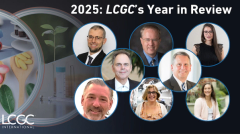 2025: LCGC's Year on Video
