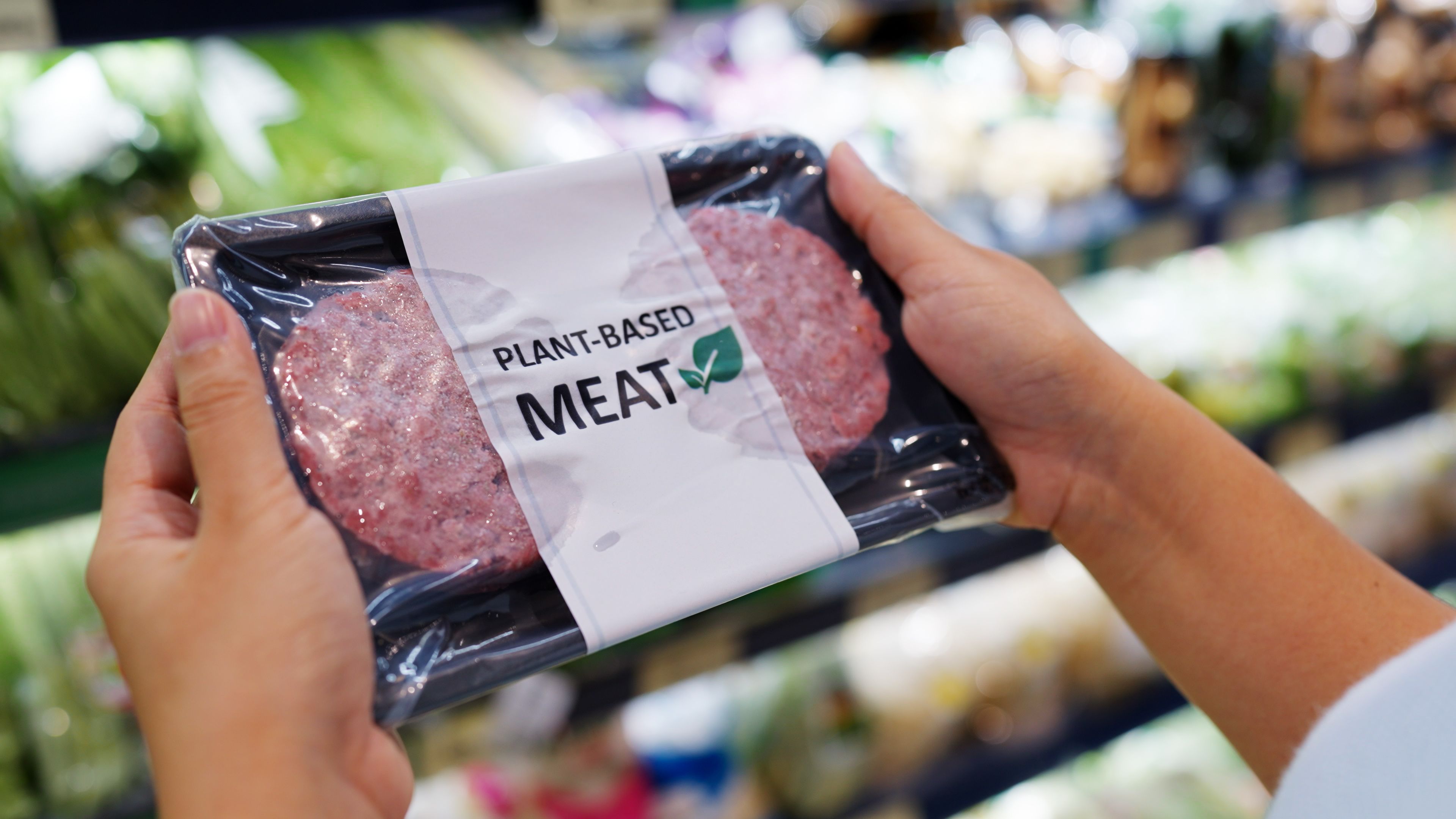 GC–MS Analysis Reveals Flavor Stability Challenges and Storage Solutions in Soy-Based Plant Meats