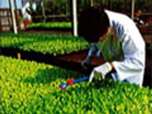 Rapid Method Development for Industrial LC Separations Using Automated Screening of Stationary Phases and Solvents