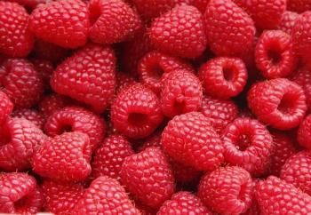 Sweet raspberry | Image Credit: © vikidi - stock.adobe.com
