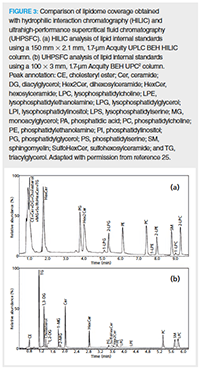 Peptide Analysis Zwitterionic Chiral Ion Exchangers As Complementary Option To Hilic And To Reversed Phase Chromatography