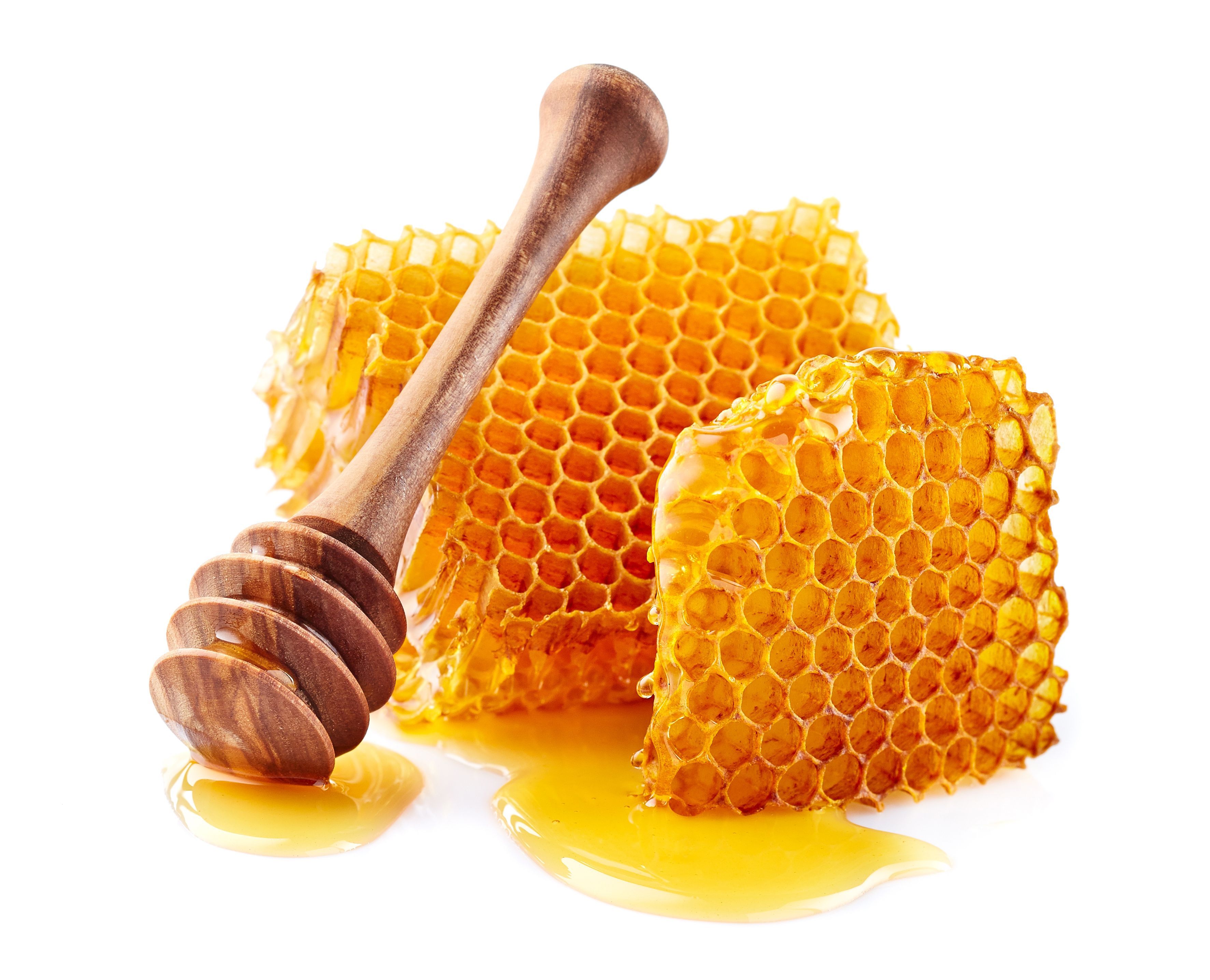 Honeycomb with honey on white background. | Image Credit: © Dionisvera - stock.adobe.com