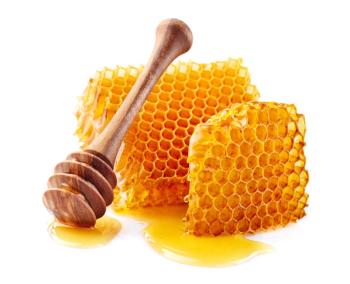 Honeycomb with honey on white background. | Image Credit: © Dionisvera - stock.adobe.com