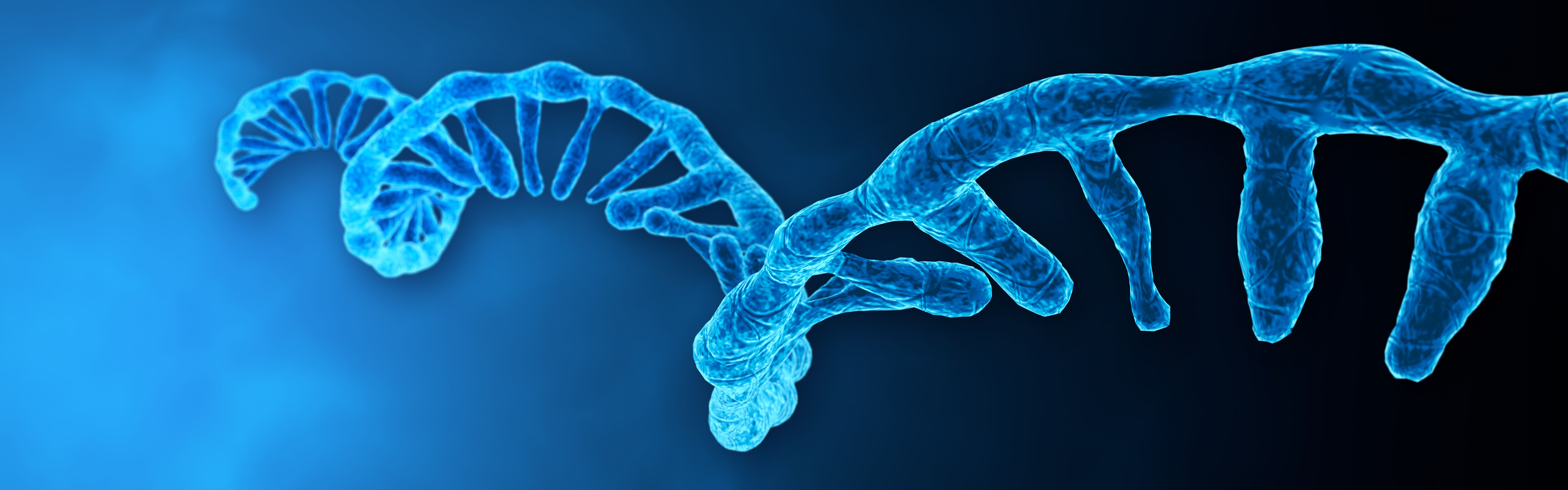 Coronavirus mRNA strand. Medical illustration. 3D rendering | Image Credit: © CROCOTHERY - stock.adobe.com