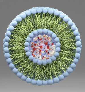 Untargeted LC–MS Lipidomics with Data Independent Acquisition using Sequential Window Acquisition of All Theoretical Fragment-Ion Spectra