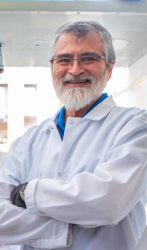 Reinventing Silica Modification for Long-Lasting HPLC Columns