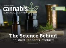 Image | adobe.stock/aedkafl