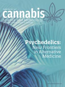 Psychedelics: New Frontiers in Alternative Medicine