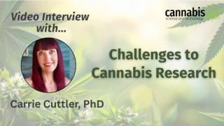 Challenges to Cannabis Research: Interview with Carrie Cuttler, PhD