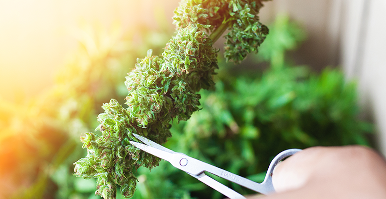 ©FUKUME - STOCK.ADOBE.COM