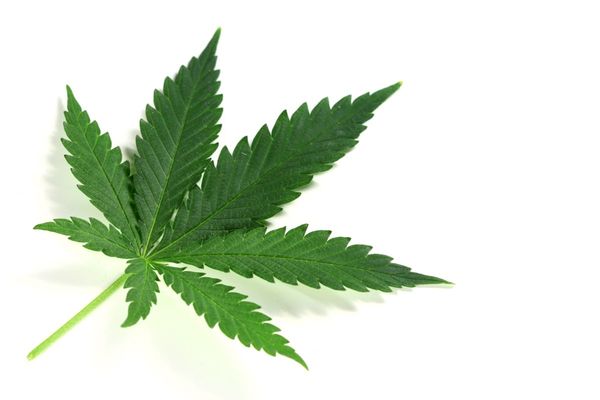 Youth Cannabis Use in Canada Declines After Legalization, Though Risk Factors Changed, Study Shows