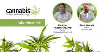 Indoor Cannabis Growing with a Closed Loop Water System